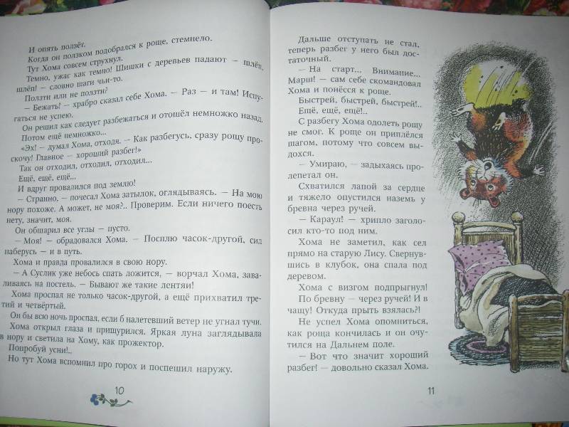 Иллюстрация 40 из 49 для Приключения Хомы и Суслика - Альберт Иванов | Лабиринт - книги. Источник: Ромашка:-)
