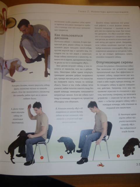Иллюстрация 30 из 42 для Как отучить собаку от вредных привычек - Колин Теннант | Лабиринт - книги. Источник: Avid Reader