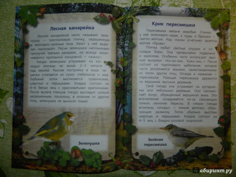 Иллюстрация 5 из 26 для Тайны певчих птиц - Александр Тихонов | Лабиринт - книги. Источник: Екатерина
