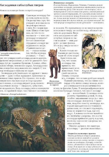 Иллюстрация 23 из 25 для Загадки животного мира - Калашников, Лаврова | Лабиринт - книги. Источник: Золотая рыбка