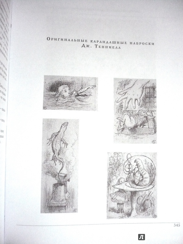 Иллюстрация 32 из 74 для Алиса в стране чудес. Алиса в Зазеркалье - Льюис Кэрролл | Лабиринт - книги. Источник: NM