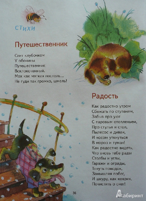 Иллюстрация 48 из 49 для Щенячья азбука - Михаил Яснов | Лабиринт - книги. Источник: book lover