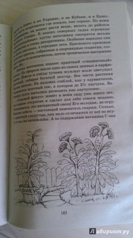 Иллюстрация 2 из 22 для Дневники умного дачника - Курдюмов, Казарин | Лабиринт - книги. Источник: JannaG
