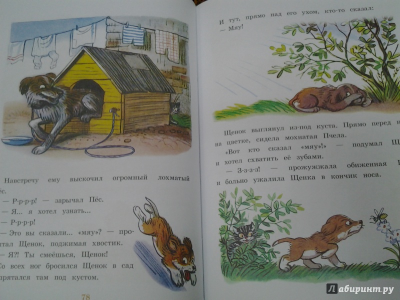 Иллюстрация 41 из 61 для Любимые сказки и картинки - Владимир Сутеев | Лабиринт - книги. Источник: Olga