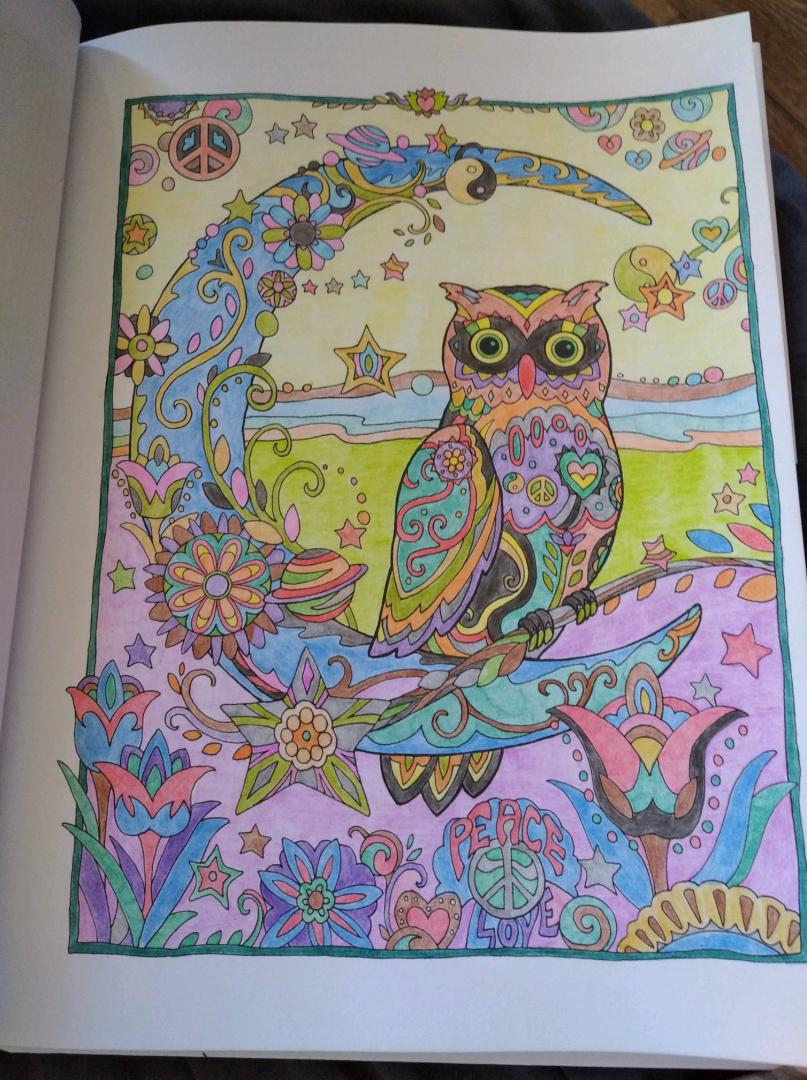 Иллюстрация 43 из 45 для Совушки - Marjorie Sarnat | Лабиринт - книги. Источник: Баланина  Ирина Валерьевна