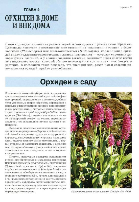 Иллюстрация 22 из 30 для Все об орхидеях - Дэвид Хессайон | Лабиринт - книги. Источник: Юта