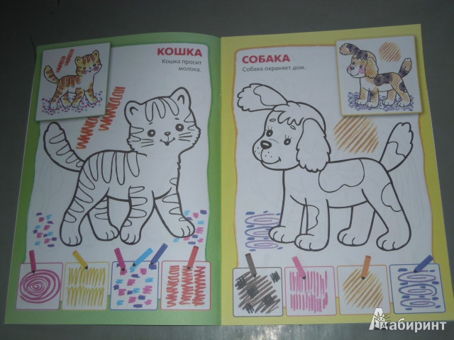Иллюстрация 5 из 6 для Раскрась фломастерами "Домашние животные" | Лабиринт - книги. Источник: Iwolga