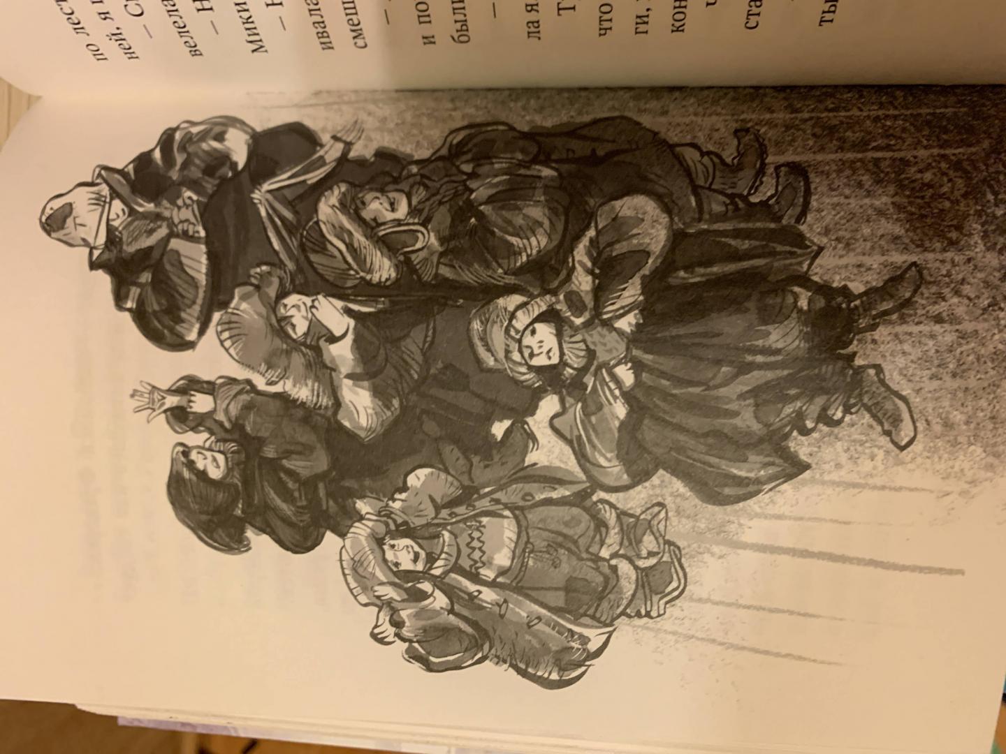 Иллюстрация 58 из 83 для Пираты Ледового моря - Фрида Нильсон | Лабиринт - книги. Источник: За  Татьяна