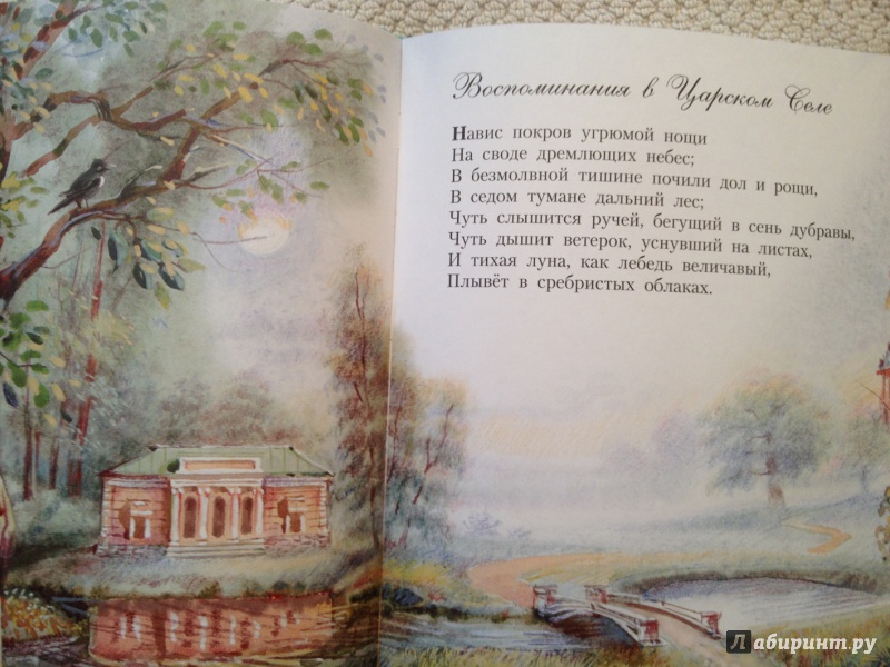 Иллюстрация 31 из 41 для Стихи детям - Александр Пушкин | Лабиринт - книги. Источник: Милкина радость
