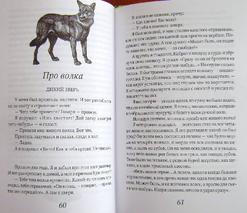 Иллюстрация 15 из 16 для Беспризорная кошка - Борис Житков | Лабиринт - книги. Источник: BOOKвочка