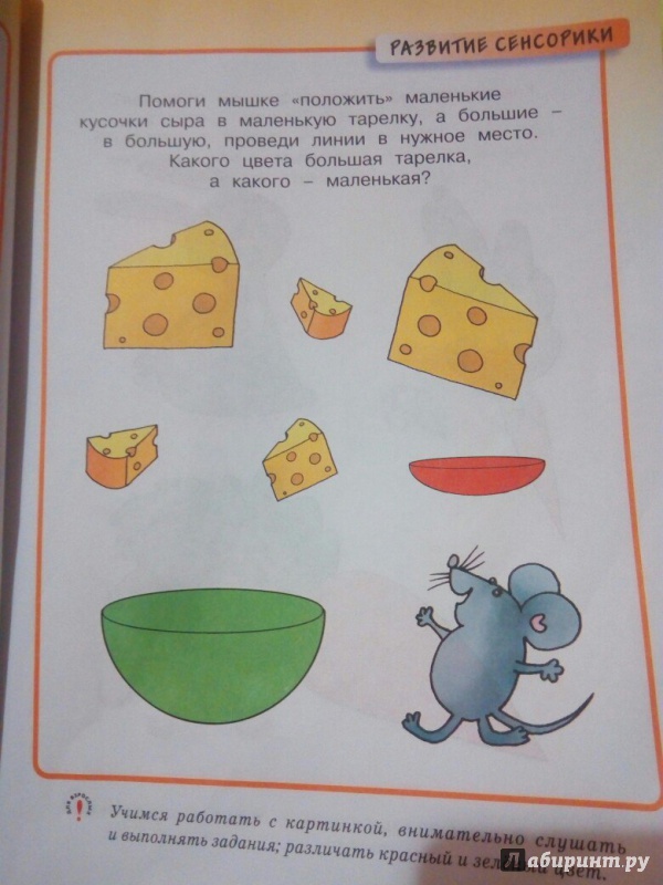 Иллюстрация 96 из 100 для Развивающие тесты для детей 2-3 лет. ФГОС - Ольга Земцова | Лабиринт - книги. Источник: ALIN@