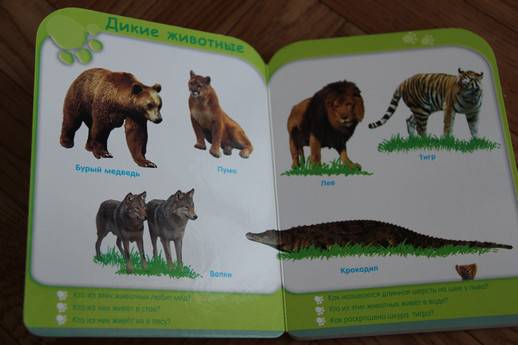 Иллюстрация 11 из 12 для Животные (от 3-х лет) | Лабиринт - книги. Источник: Vilvarin  Laurea