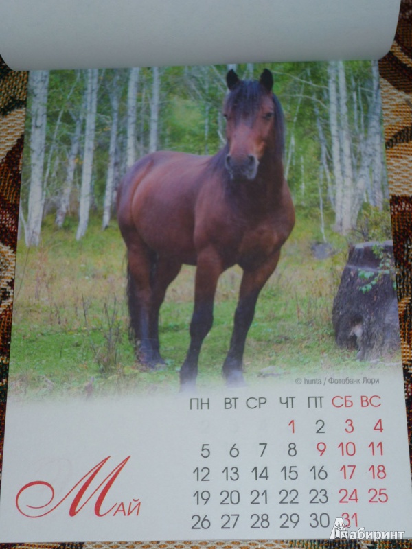 Иллюстрация 7 из 12 для Календарь на магните на 2014 год "Год лошади" | Лабиринт - сувениры. Источник: Шубина  Диана Владимировна