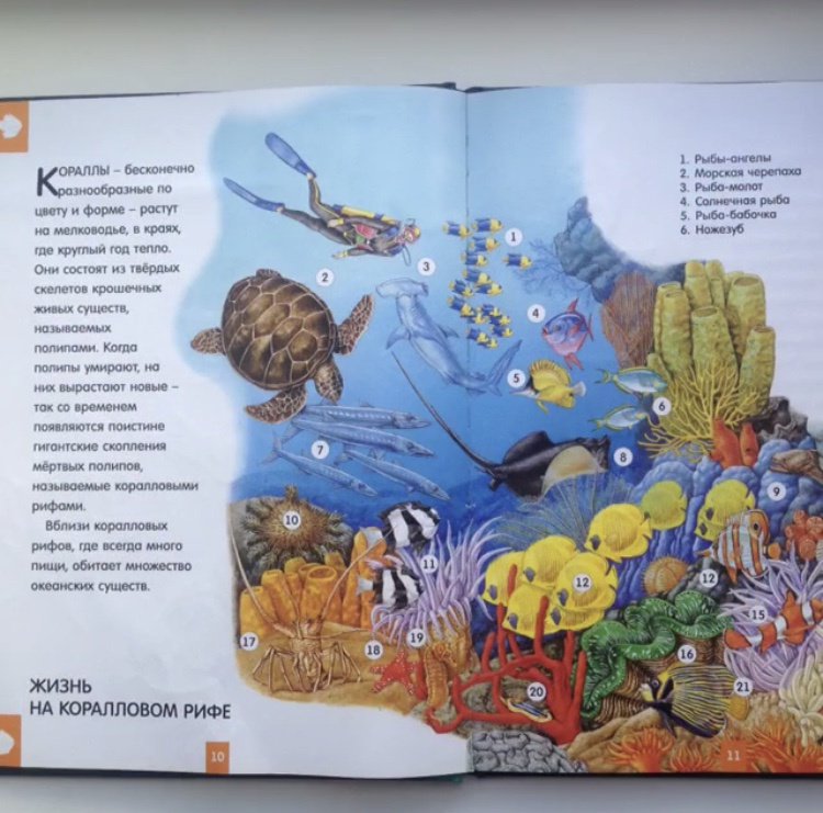 Иллюстрация 18 из 24 для Светящаяся книга о подводном мире - Николас Харрис | Лабиринт - книги. Источник: Зуева  Анастасия