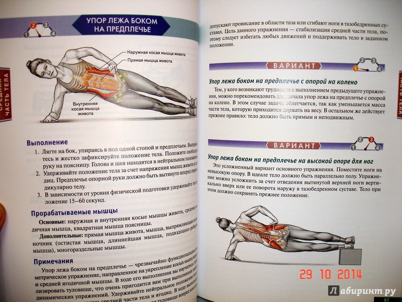 Иллюстрация 10 из 11 для Анатомия силовых упражнений с использованием в качестве отягощения собственного веса - Брет Контрерас | Лабиринт - книги. Источник: Kassavetes