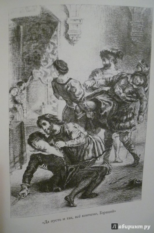 Иллюстрация 28 из 41 для Гамлет, принц датский - Уильям Шекспир | Лабиринт - книги. Источник: Алексеенко  Надежда