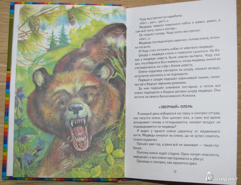 Иллюстрация 8 из 31 для Охотничьи истории - Геннадий Снегирев | Лабиринт - книги. Источник: ProstoEkaterina