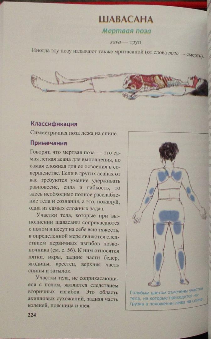 Иллюстрация 49 из 49 для Анатомия йоги - Каминофф, Мэтьюз | Лабиринт - книги. Источник: Юрьев Ярослав