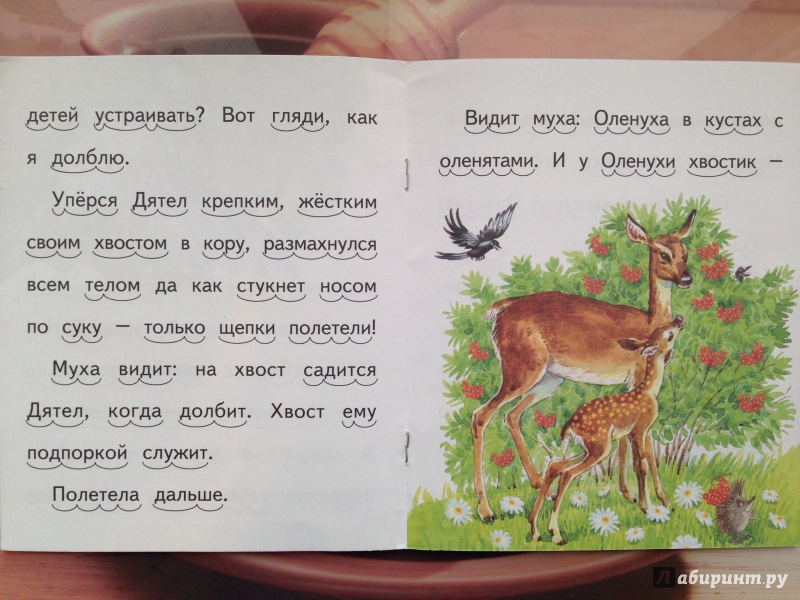 Иллюстрация 12 из 22 для Хвосты - Виталий Бианки | Лабиринт - книги. Источник: Кузнецова  Ирина