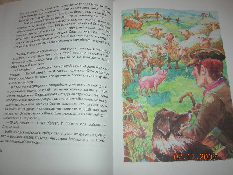 Иллюстрация 30 из 38 для Поросенок Бейб - Дик Кинг-Смит | Лабиринт - книги. Источник: Соловей