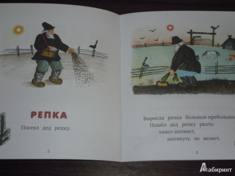Иллюстрация 12 из 26 для Репка. Русские народные сказки | Лабиринт - книги. Источник: Iwolga