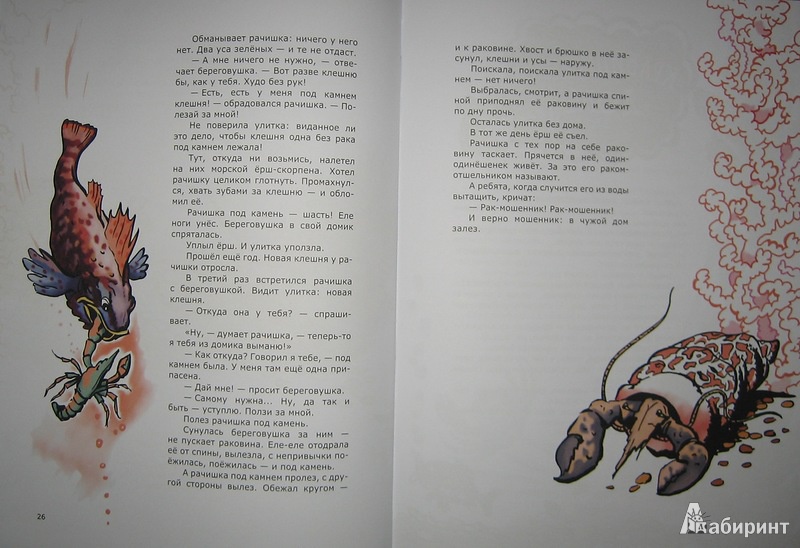 Иллюстрация 11 из 51 для Морские сказки - Святослав Сахарнов | Лабиринт - книги. Источник: Трухина Ирина