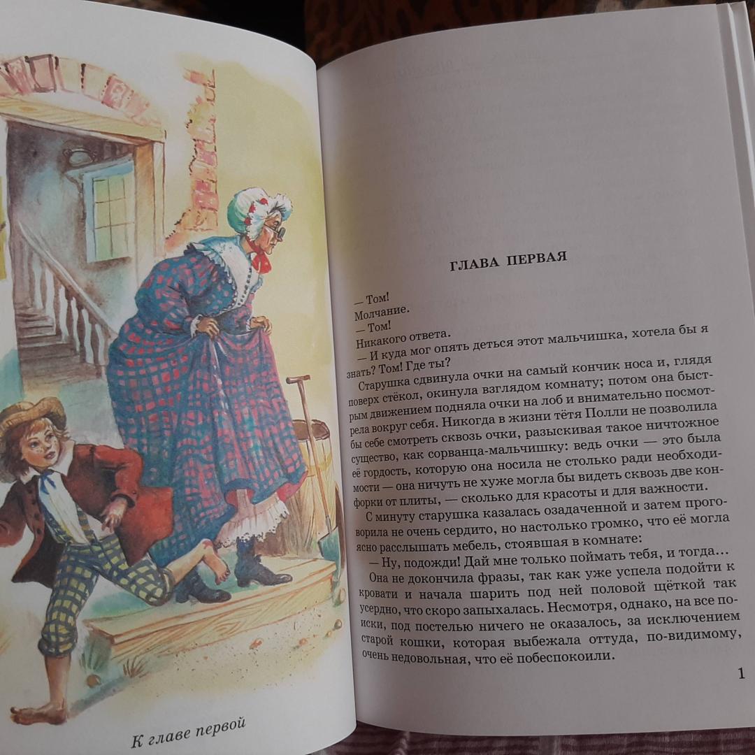 Иллюстрация 21 из 26 для Приключения Тома Сойера - Марк Твен | Лабиринт - книги. Источник: Алёнка