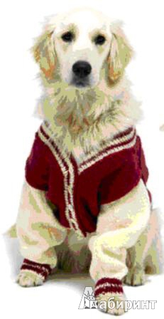 Иллюстрация 2 из 7 для Вязаная одежда для собак. Модные комплекты - Элисон Дженкинс | Лабиринт - книги. Источник: Татьяна