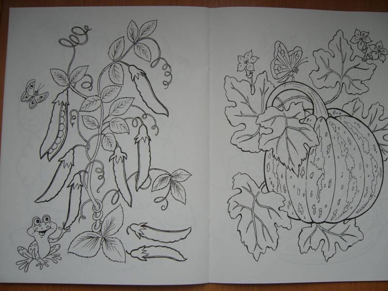 Иллюстрация 8 из 16 для Что растет в саду | Лабиринт - книги. Источник: Мама Саши