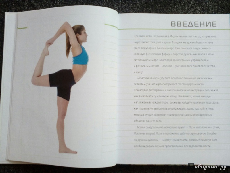 Иллюстрация 49 из 60 для Наглядная йога. 50 базовых асан с анатомическими иллюстрациями - Абигейл Эллсуорт | Лабиринт - книги. Источник: Войтенко  Юрий
