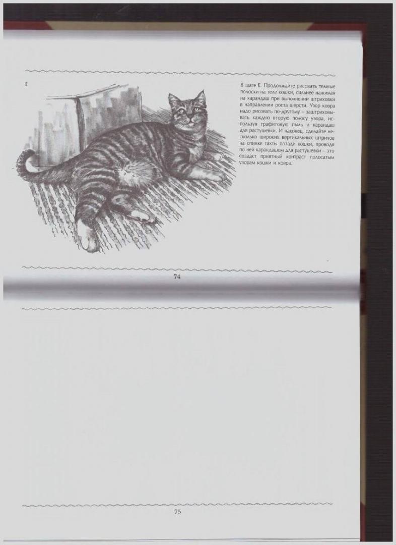 Иллюстрация 14 из 31 для Полный курс рисования | Лабиринт - книги. Источник: LanaEr