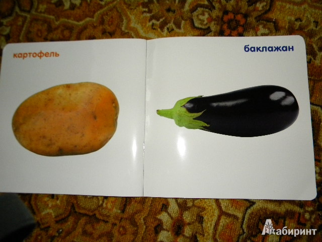 Иллюстрация 7 из 7 для Овощи | Лабиринт - книги. Источник: Тимофеева  Ольга Юрьевна