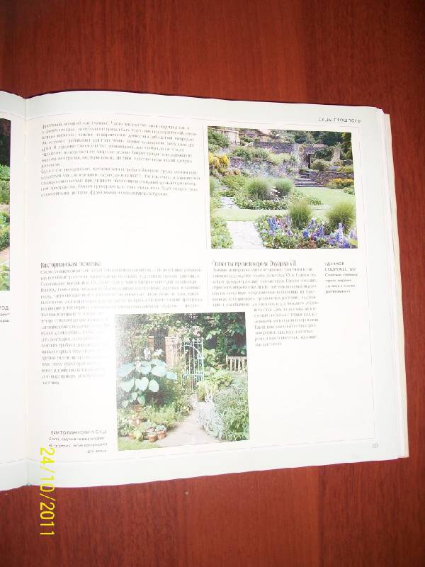 Иллюстрация 18 из 24 для 1000 советов и идей для вашего сада | Лабиринт - книги. Источник: Гилева  Любовь Валерьевна