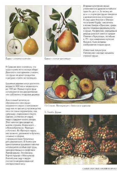 Иллюстрация 41 из 46 для Самые вкусные овощи и фрукты | Лабиринт - книги. Источник: Золотая рыбка