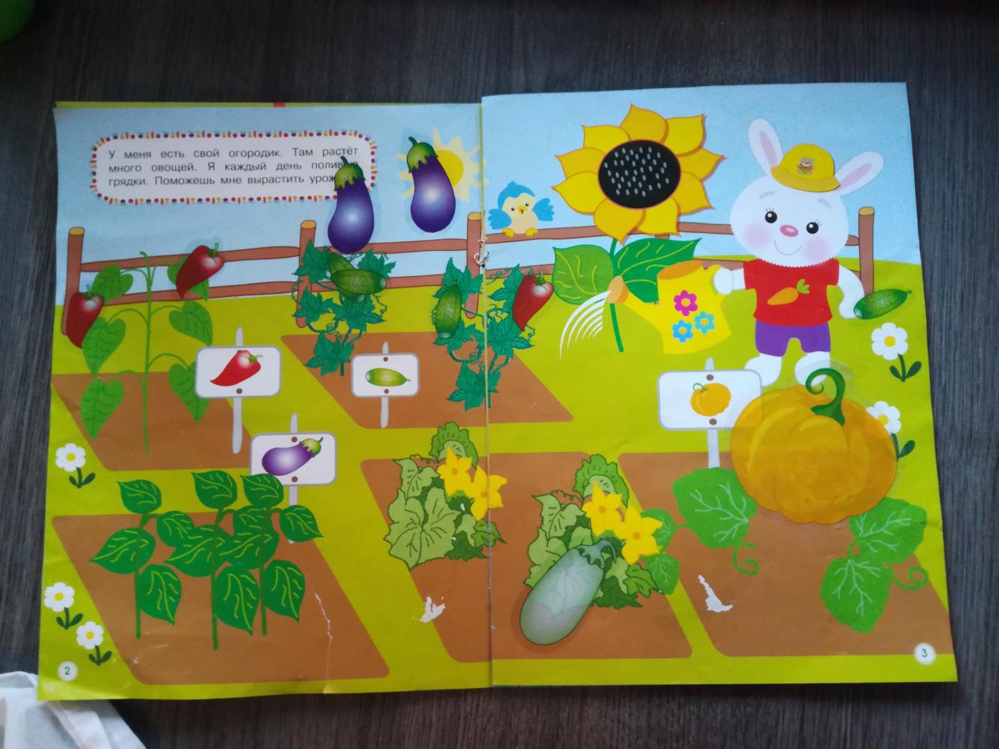 Иллюстрация 37 из 40 для Овощи-фрукты | Лабиринт - игрушки. Источник: kristina permiakova