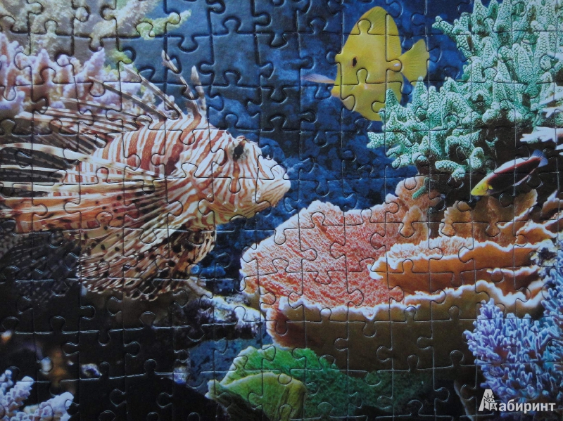 Иллюстрация 24 из 24 для Puzzle-1000 Коралловый риф | Лабиринт - игрушки. Источник: Губина Людмила