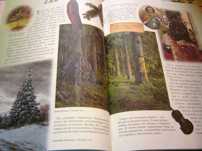 Иллюстрация 34 из 94 для Прогулки по лесу - Сергей Махотин | Лабиринт - книги. Источник: Nika