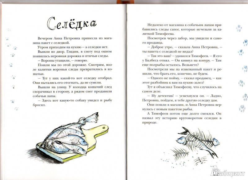 Иллюстрация 7 из 29 для Рябиновое солнце - Станислав Востоков | Лабиринт - книги. Источник: Трубадур