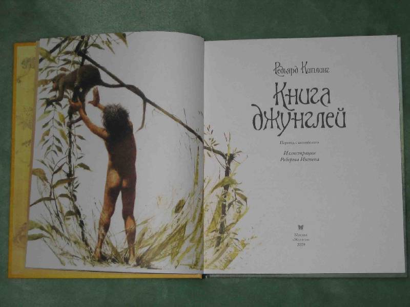 Иллюстрация 64 из 164 для Книга джунглей - Редьярд Киплинг | Лабиринт - книги. Источник: Трухина Ирина