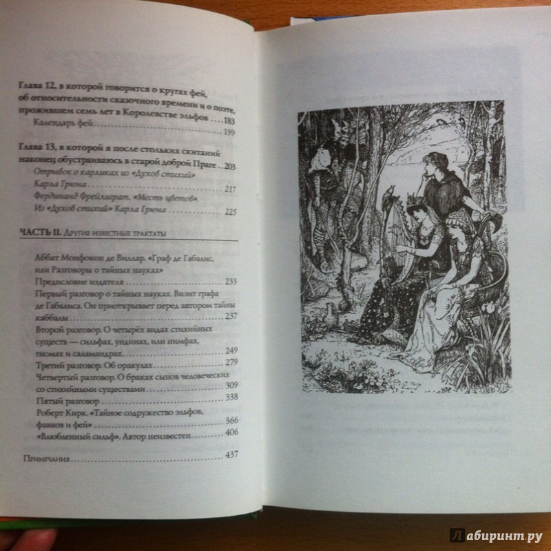 Иллюстрация 16 из 26 для Трактат о Волшебной стране Исмаэля Мериндоля, дополненное другими известными трудами - Исмаэль Мериндоль | Лабиринт - книги. Источник: Шиншилла