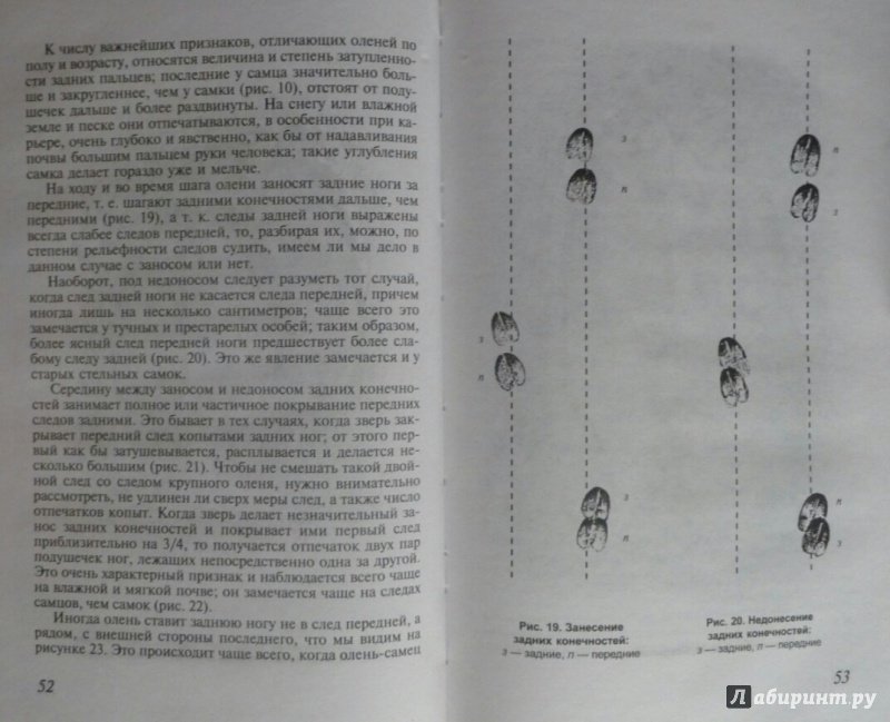 Иллюстрация 9 из 11 для Как определить свежесть следа | Лабиринт - книги. Источник: SiB