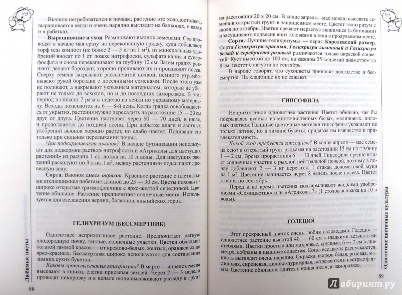 Иллюстрация 30 из 36 для Все о саде и огороде. 1200 вопросов и ответов - Ганичкина, Ганичкин | Лабиринт - книги. Источник: Соловьев  Владимир