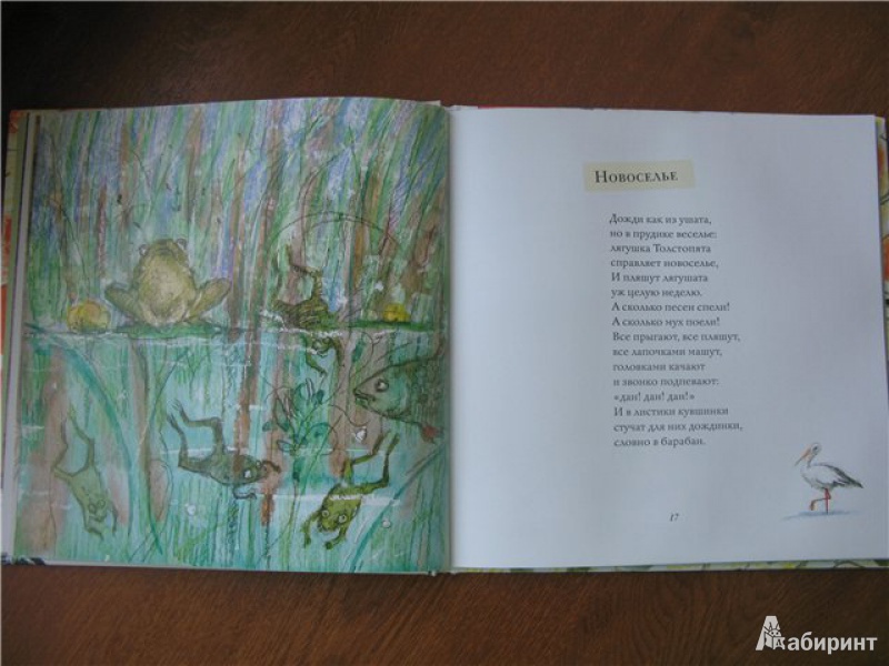 Иллюстрация 25 из 46 для Апельсинные корки - Мария Моравская | Лабиринт - книги. Источник: Левит  .