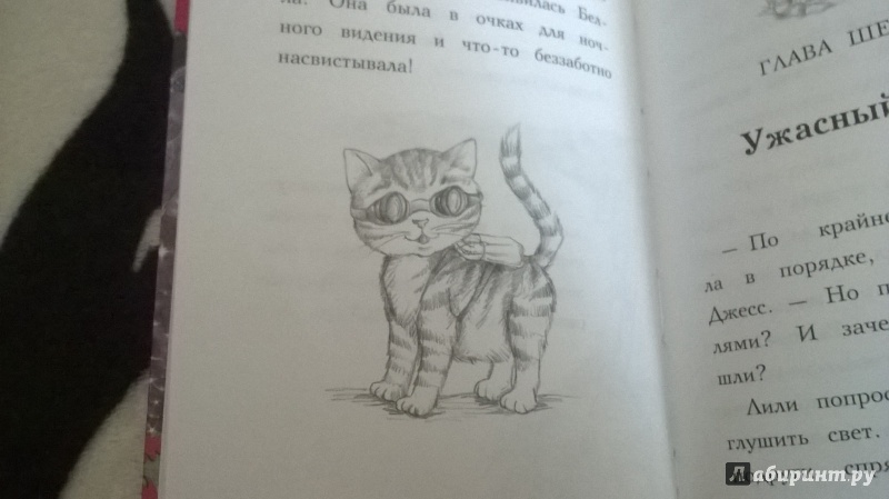 Иллюстрация 27 из 51 для Котёнок Белла, или Любопытный носик - Дейзи Медоус | Лабиринт - книги. Источник: Кривцова  Любовь Евгеньевна