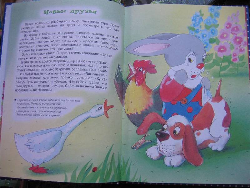 Иллюстрация 4 из 20 для Еще про зайку - Громова, Савушкин | Лабиринт - книги. Источник: Крошка Сью