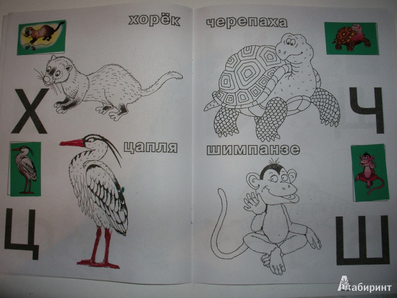 Иллюстрация 5 из 7 для Алфавит с крупными буквами и наклейками - Валентина Дмитриева | Лабиринт - книги. Источник: Tiger.