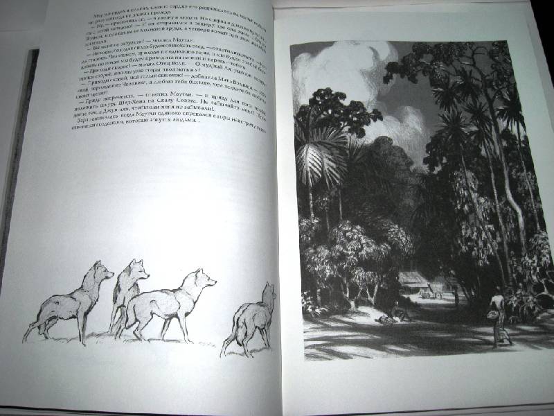 Иллюстрация 28 из 30 для Маугли - Редьярд Киплинг | Лабиринт - книги. Источник: Zhanna