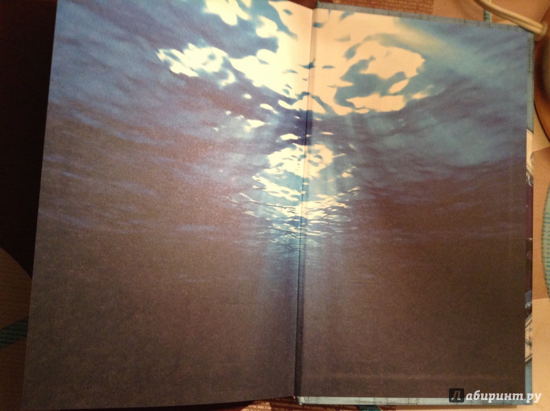 Иллюстрация 3 из 7 для Двадцать тысяч лье под водой - Жюль Верн | Лабиринт - книги. Источник: Shasha