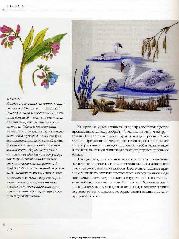 Иллюстрация 29 из 31 для Цветы. Практическое руководство - Хелен Стивенс | Лабиринт - книги. Источник: Спанч Боб