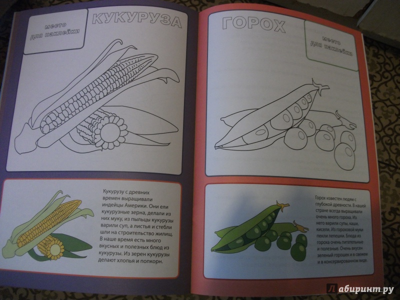 Иллюстрация 11 из 17 для Овощи | Лабиринт - книги. Источник: Напылова  Ольга